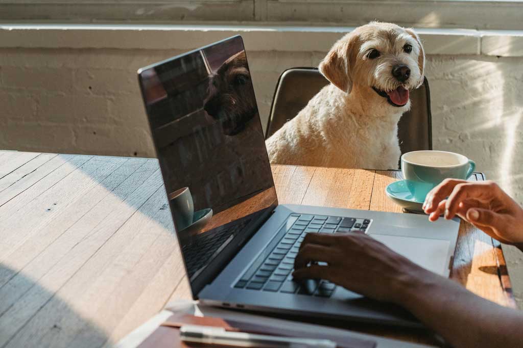 Working Remotely from Home