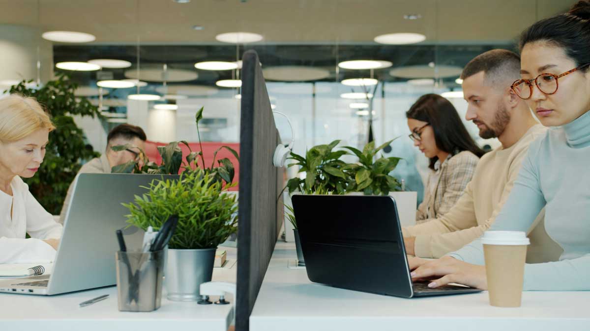 Group of people men and women are working with laptops in shared offce