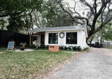 Why Professional Bat Exterminators Are Crucial for Orlando's Older Homes