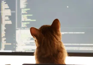 Beyond Deadlines: Essential KPIs for Managing Your Dedicated .NET Team