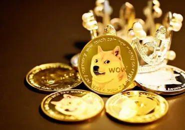 How did the Dogecoin community remain active and place this project at the top?