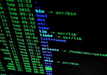 AI and Cybersecurity Consulting: New Opportunities and New Risks